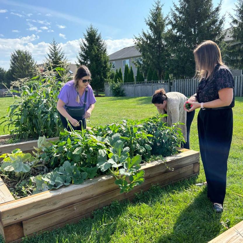 Meridian employees tending the branch community garden in Virgil Ontario