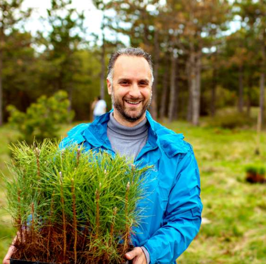 Smiling man with light skin tone, grey hair, and a beard, is outside planting trees.